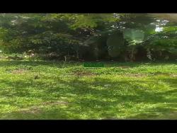 #TE00047 - Terreno para Venda em Caraguatatuba - SP - 2