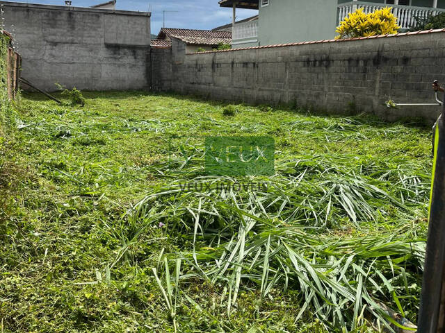 #1224 - Terreno para Venda em Caraguatatuba - SP - 2
