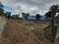 #AR00036 - Área para Venda em Caraguatatuba - SP - 3